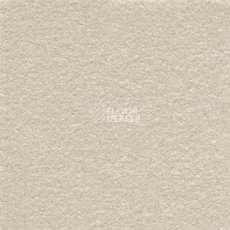 Ковролин AW Invictus Sirius 36 фото 1 | FLOORDEALER