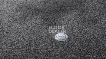 Ковролин Vorwerk Superior 1064/Lyrica Vorwerk 5x80 фото 1 | FLOORDEALER