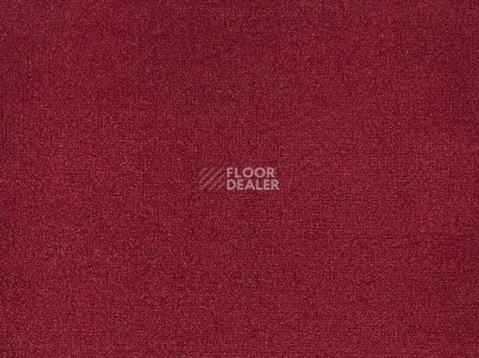 Ковролин Big Andorra 451 фото 1 | FLOORDEALER