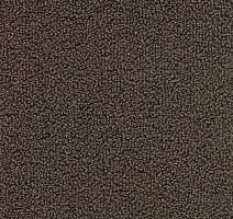 Ковролин AW Pearl 45 фото 1 | FLOORDEALER