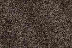 Ковролин AW Pearl 45 фото  | FLOORDEALER