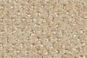 Ковролин Balsan Aquarelle Touch 615 фото  | FLOORDEALER