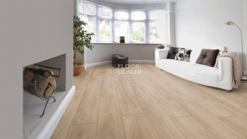 My Floor Residence 10мм ML1012 Дуб Макро Светлый фото 11 | FLOORDEALER