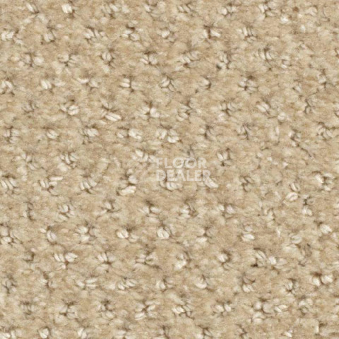 Ковролин Balsan Aquarelle Touch 615 фото 1 | FLOORDEALER