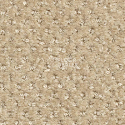 Ковролин Balsan Aquarelle Touch 615 фото 1 | FLOORDEALER