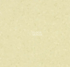 Линолеум Forbo Sphera Element 50063 white moss фото 1 | FLOORDEALER