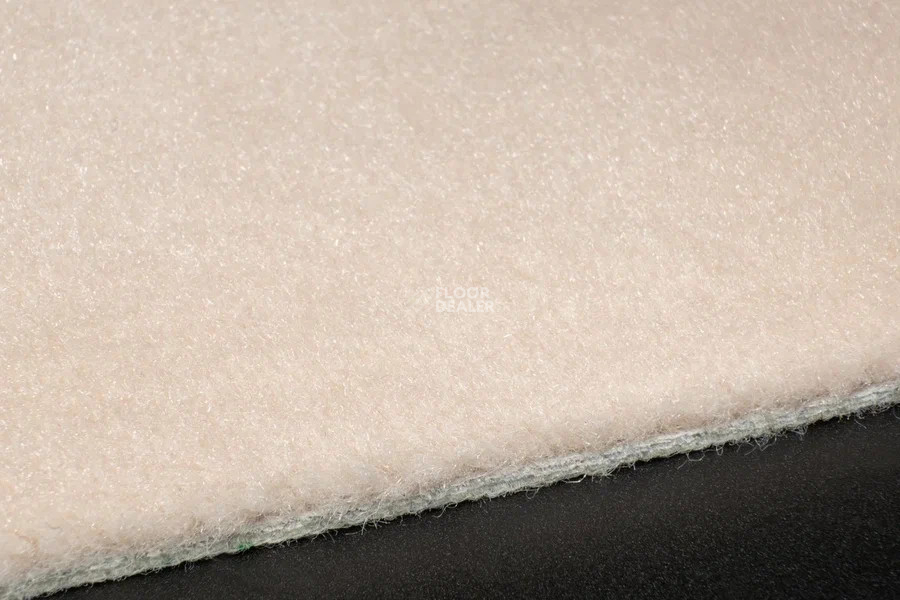 Vorwerk Passion 1000/Modena Vorwerk 1l99 фото 5 | FLOORDEALER