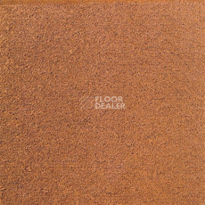 Ковролин Sintelon Eden 29230 фото 1 | FLOORDEALER