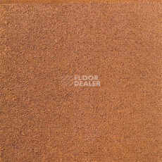 Ковролин Sintelon Eden 29230 фото 1 | FLOORDEALER