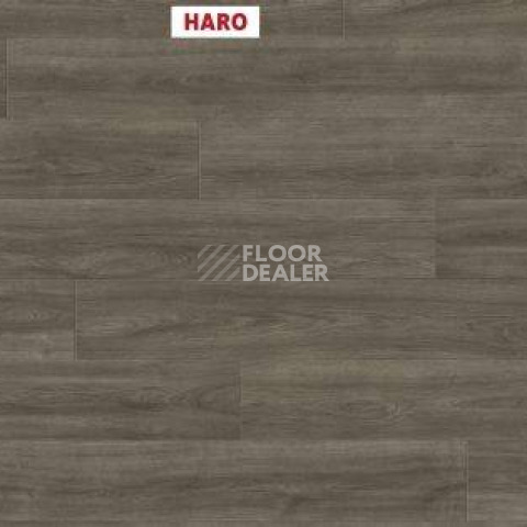 Ламинат Haro Tritty 100 Gran Via 4V ДУБ ЭЛЕГАНЗА АНТИЧНЫЙ СЕРЫЙ 541514 фото 1 | FLOORDEALER