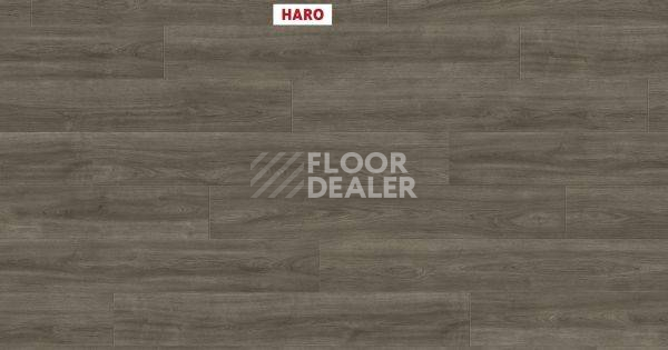Ламинат Haro Tritty 100 Gran Via 4V ДУБ ЭЛЕГАНЗА АНТИЧНЫЙ СЕРЫЙ 541514 фото 1 | FLOORDEALER