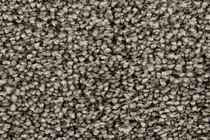 Ковролин Edel Wild Romance 149 фото  | FLOORDEALER