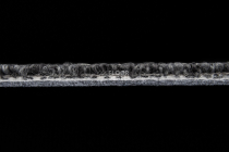 Autumn Woods 601004 фото 5 | FLOORDEALER