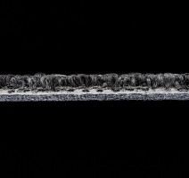 Autumn Woods 601004 фото 5 | FLOORDEALER