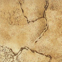 Линолеум Novoflor Standard 4000_7  | FLOORDEALER