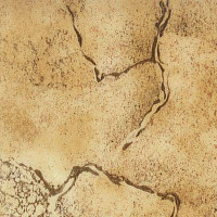 Линолеум Novoflor Standard 4000_7 фото 1 | FLOORDEALER