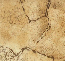 Линолеум Novoflor Standard 4000_7 фото 1 | FLOORDEALER