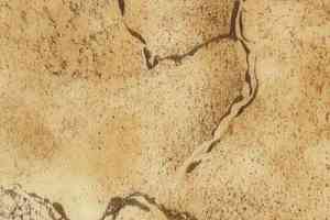 Линолеум Novoflor Standard 4000_7 фото  | FLOORDEALER