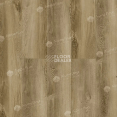 Кварцвиниловые полы Alpine Floor Premium 12мм ECO24-5 Дуб Серена фото 1 | FLOORDEALER