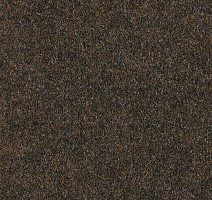 Ковролин Forbo Forte 96015 Ebony фото 1 | FLOORDEALER