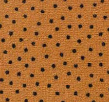 Ковролин Besmer Cite Design 579 фото 1 | FLOORDEALER