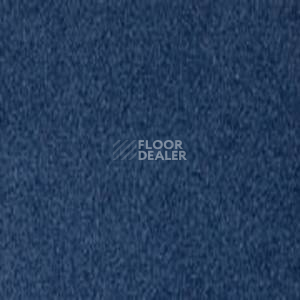Ковролин Infloor Coronado 350 350 фото 1 | FLOORDEALER