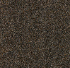 Ковролин Forbo Forte 96015 Ebony фото 1 | FLOORDEALER