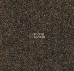Ковролин Forbo Forte 96015 Ebony фото 1 | FLOORDEALER