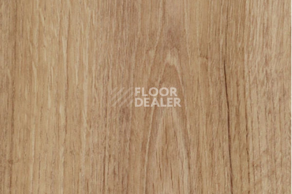 Виниловая плитка ПВХ FORBO allura decibel 0.8 wood 5204AD8 classic authentic oak (100x20 cm) фото 1 | FLOORDEALER