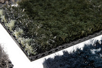 Coral Interior 1518 Rain Forest фото 5 | FLOORDEALER