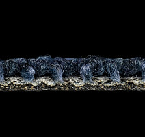 Desso Desert 8811 фото 4 | FLOORDEALER