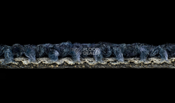 Desso Desert 8811 фото 4 | FLOORDEALER