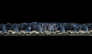 Desso Desert 8811 фото 4 | FLOORDEALER