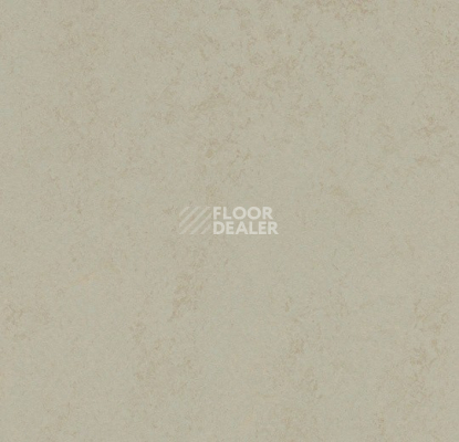 Линолеум Forbo Marmoleum Solid Concrete 3760/376035 dust фото 1 | FLOORDEALER