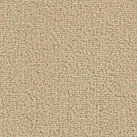 Ковролин Balsan Les Greens Confort+ 738 фото 1 | FLOORDEALER