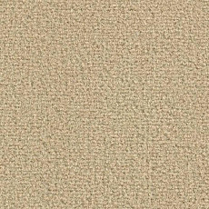 Ковролин Balsan Les Greens Confort+ 738 фото 1 | FLOORDEALER