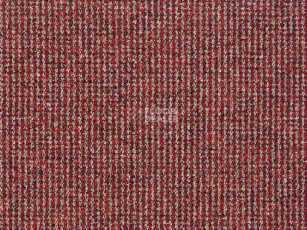 Ковролин Balta Brazil 880 фото 1 | FLOORDEALER