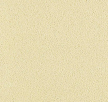 Ковровая плитка Westbond Ibond Natural 9858 фото 1 | FLOORDEALER