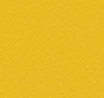 Линолеум Taraflex Performance Uni 6211_Gold фото 1 | FLOORDEALER