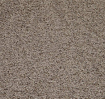 Ковролин Balta TRINITY Trinity 0780 фото 1 | FLOORDEALER