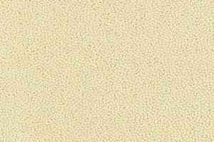 Ковровая плитка Westbond Ibond Natural 9858 фото  | FLOORDEALER