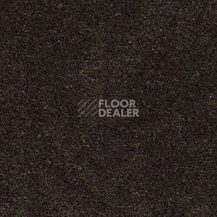 Ковролин AW Illusion 44 фото 1 | FLOORDEALER