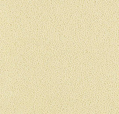 Ковровая плитка Westbond Ibond Natural 9858 фото 1 | FLOORDEALER