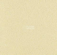 Ковровая плитка Westbond Ibond Natural 9858 фото 1 | FLOORDEALER