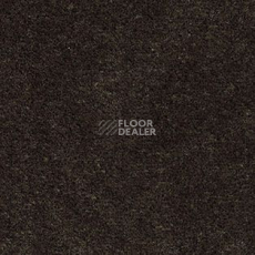 Ковролин AW Illusion 44 фото 1 | FLOORDEALER