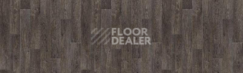 Линолеум Tarkett Delta OSTIN5 фото 1 | FLOORDEALER