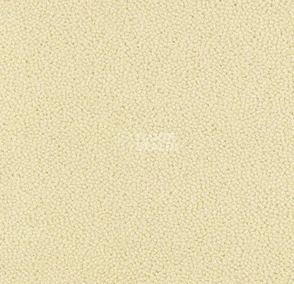 Ковровая плитка Westbond Ibond Natural 9858 фото 1 | FLOORDEALER