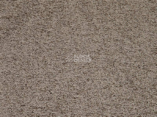 Ковролин Balta TRINITY Trinity 0780 фото 1 | FLOORDEALER