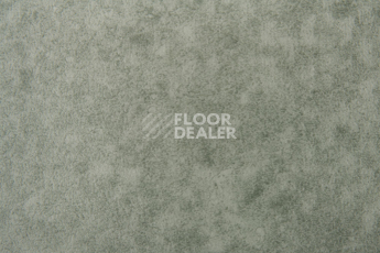 Forbo Emerald Standart 72401 фото 2 | FLOORDEALER