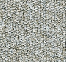 Ковролин Balsan Centaure 2000 Centaure 625 фото 1 | FLOORDEALER